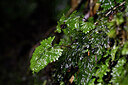 BUITEN BEELD Foto: 445602