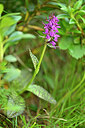 BUITEN BEELD Foto: 445603