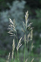 BUITEN BEELD Foto: 445606