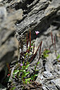 BUITEN BEELD Foto: 445608