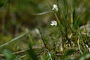BUITEN BEELD Foto: 445615