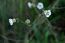 BUITEN BEELD Foto: 445623