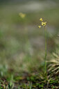 BUITEN BEELD Foto: 445631