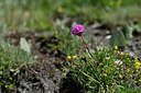 BUITEN BEELD Foto: 445633