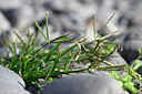 BUITEN BEELD Foto: 445635