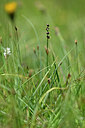 BUITEN BEELD Foto: 445641