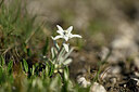 BUITEN BEELD Foto: 445642