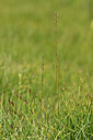 BUITEN BEELD Foto: 445643