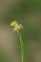 BUITEN BEELD Foto: 445646