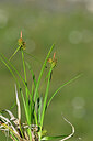 BUITEN BEELD Foto: 445647