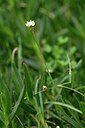BUITEN BEELD Foto: 445650