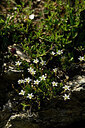 BUITEN BEELD Foto: 445662