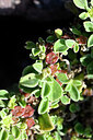BUITEN BEELD Foto: 445670