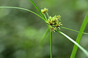 BUITEN BEELD Foto: 445672
