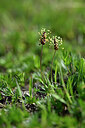 BUITEN BEELD Foto: 445673