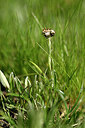 BUITEN BEELD Foto: 445676