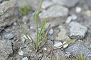 BUITEN BEELD Foto: 445686