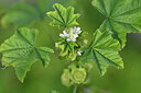 BUITEN BEELD Foto: 445689