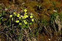 BUITEN BEELD Foto: 445692