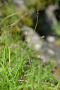 BUITEN BEELD Foto: 445694