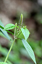 BUITEN BEELD Foto: 445702