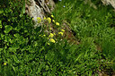 BUITEN BEELD Foto: 445703