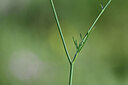 BUITEN BEELD Foto: 445705