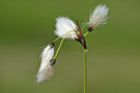 BUITEN BEELD Foto: 445708