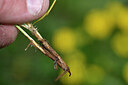BUITEN BEELD Foto: 445709