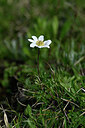 BUITEN BEELD Foto: 445712