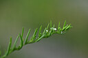 BUITEN BEELD Foto: 445713