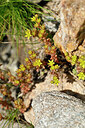 BUITEN BEELD Foto: 445718