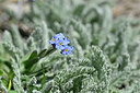 BUITEN BEELD Foto: 445722