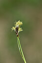 BUITEN BEELD Foto: 445725