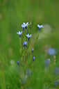 BUITEN BEELD Foto: 445726