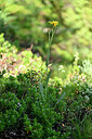BUITEN BEELD Foto: 445728