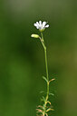 BUITEN BEELD Foto: 445730