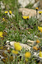 BUITEN BEELD Foto: 445731