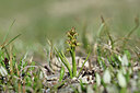 BUITEN BEELD Foto: 445732