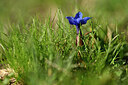 BUITEN BEELD Foto: 445735