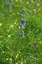 BUITEN BEELD Foto: 445736