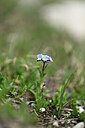 BUITEN BEELD Foto: 445737