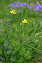 BUITEN BEELD Foto: 445740