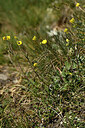 BUITEN BEELD Foto: 445750