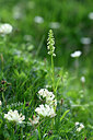 BUITEN BEELD Foto: 445752