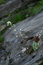 BUITEN BEELD Foto: 445754