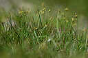 BUITEN BEELD Foto: 445755