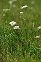 BUITEN BEELD Foto: 445760