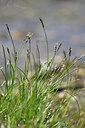 BUITEN BEELD Foto: 445764