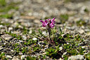 BUITEN BEELD Foto: 445766